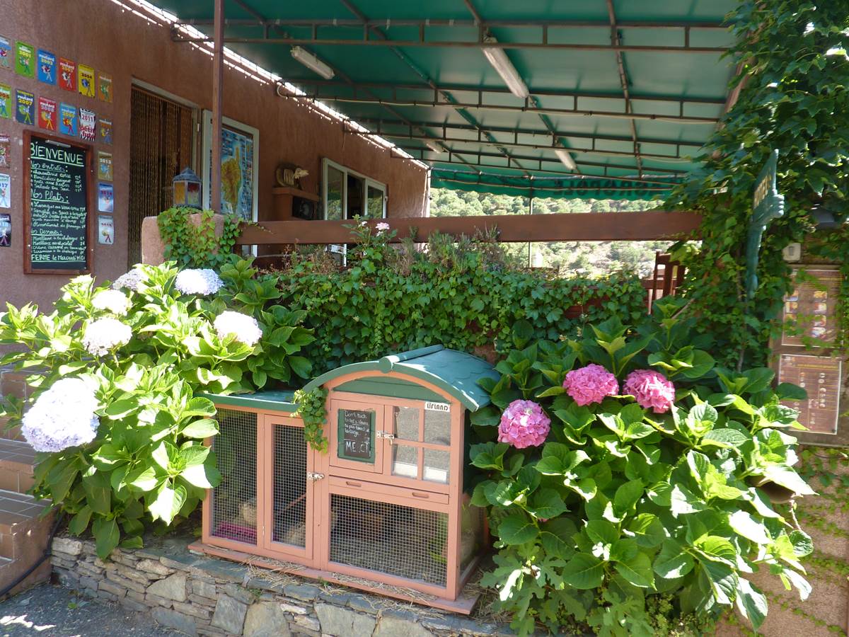 Terrasse extérieure