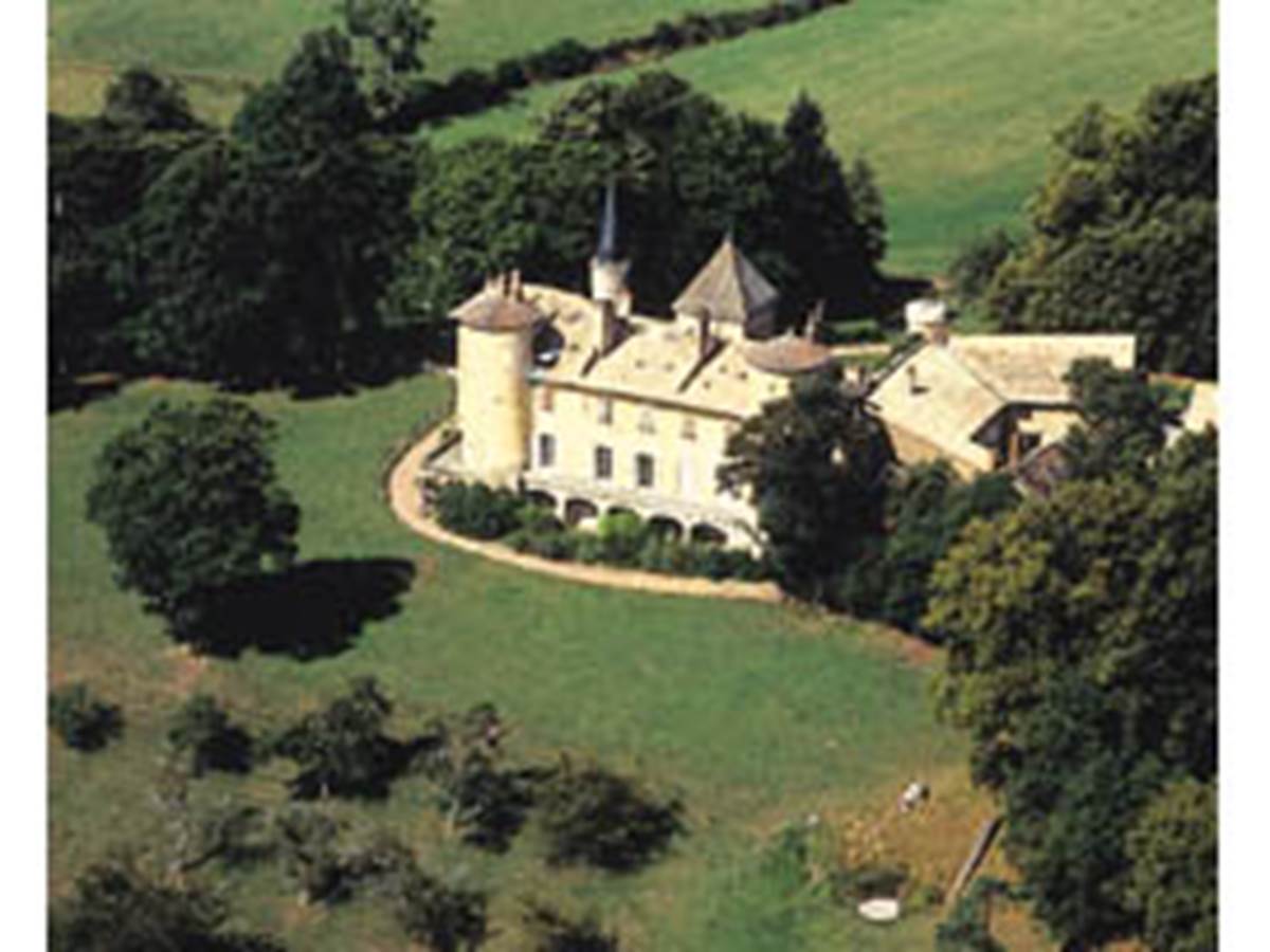 Sans titre