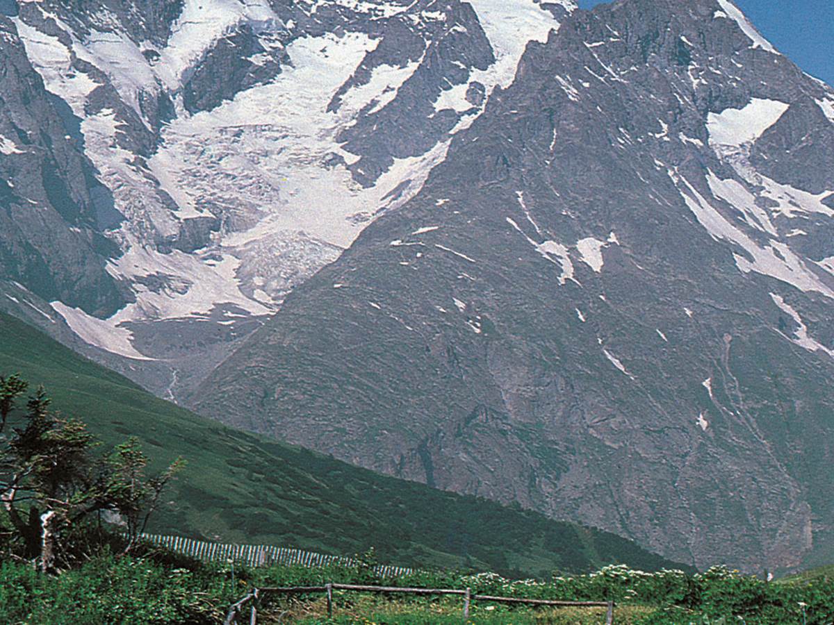 Jardin botanique alpin du Lautaret