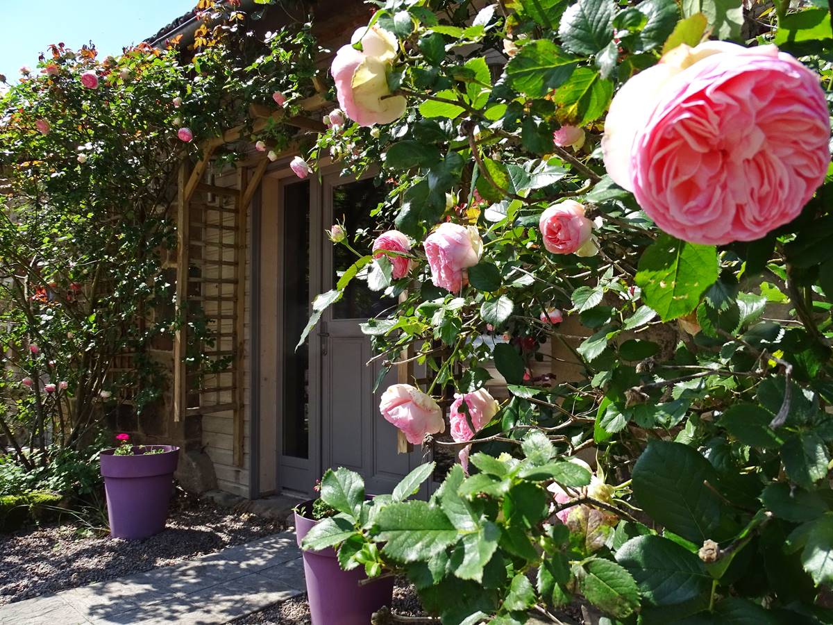 les instants voles jacuzzi privatif - Mignonne, allons voir si la rose......