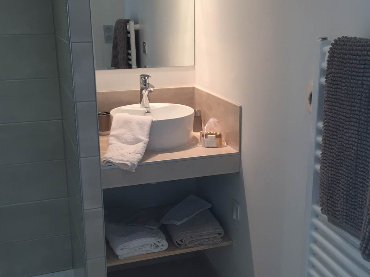 Salle d'eau chambre Grise