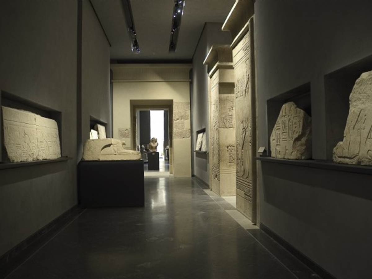 Musée des Beaux-Arts de Lyon