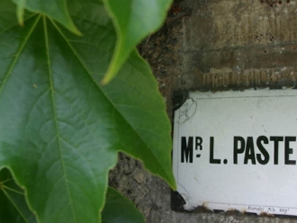 pasteur