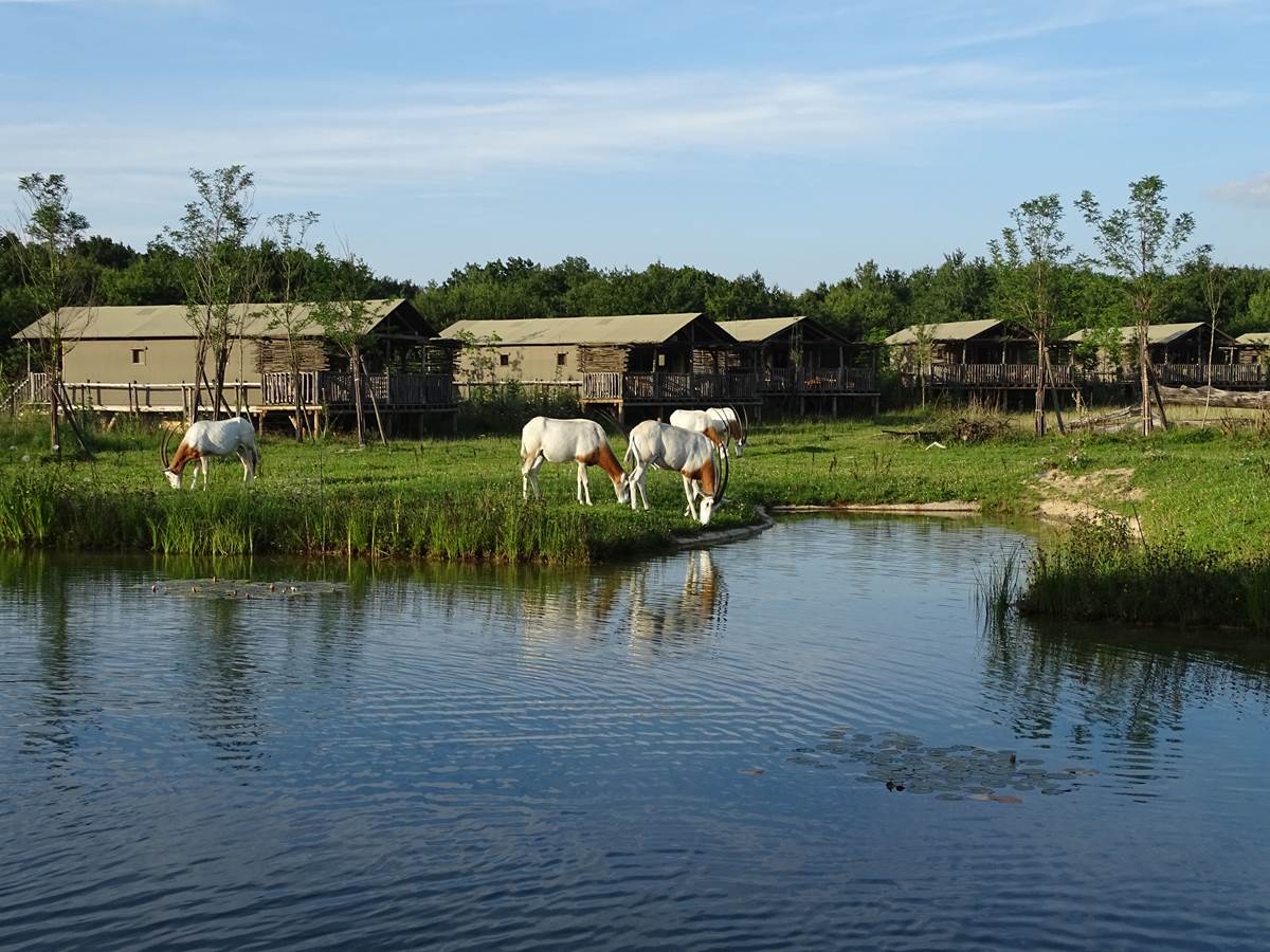 lodges3_2