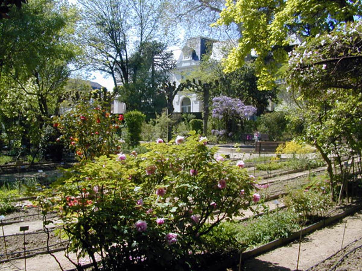 Jardin botanique de la faculté de Pharmacie d’Angers