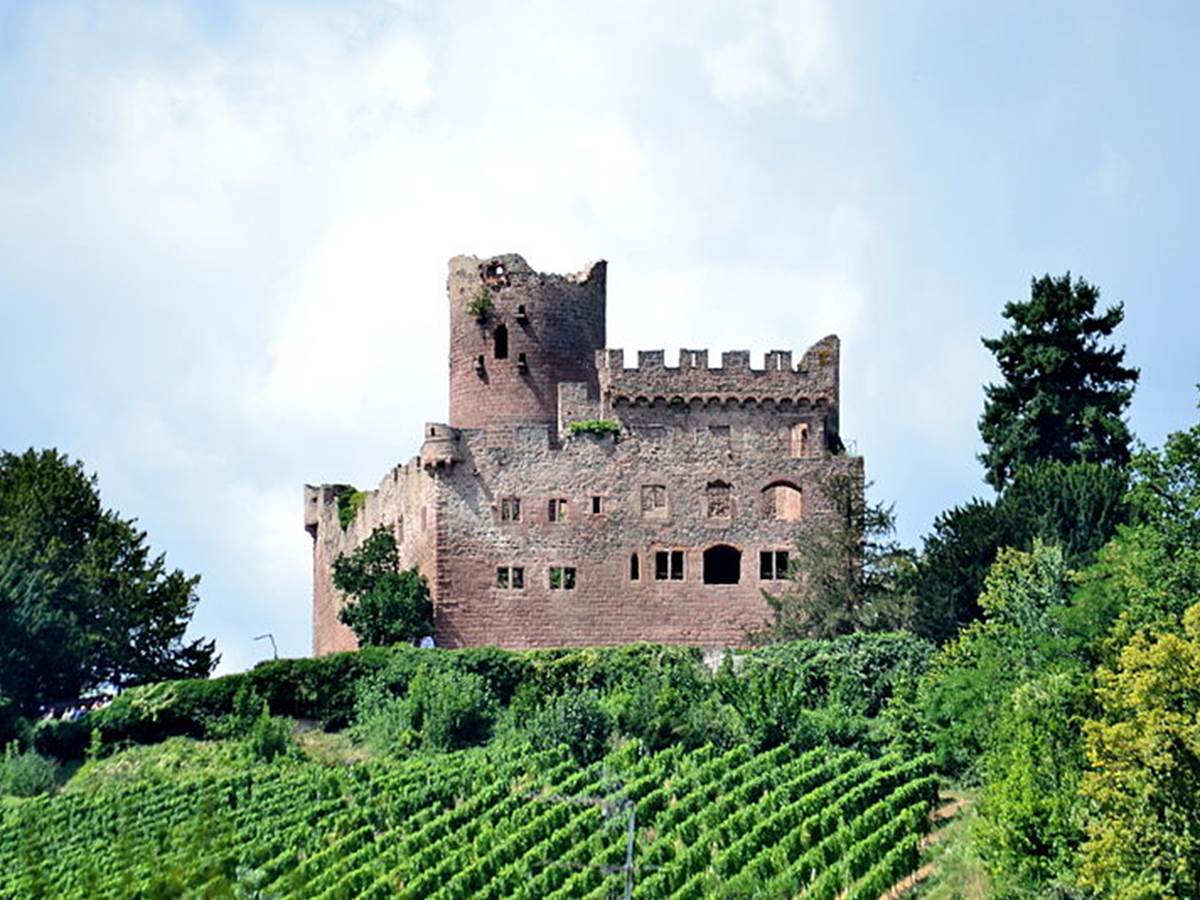 Château de Kintzheim, Bas-Rhin (67) - Sorties Alsace