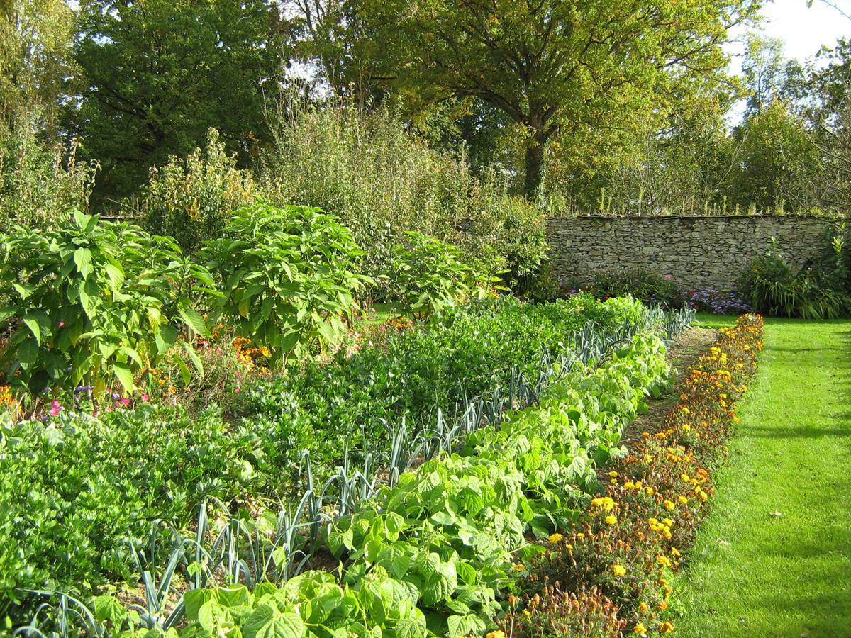 Parc et jardins du château de Montriou