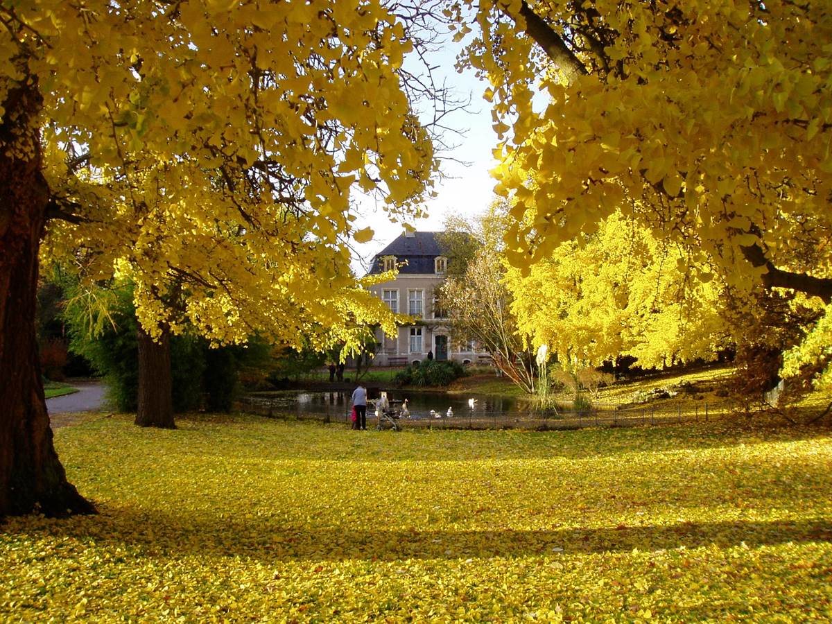 Jardin botanique de Metz