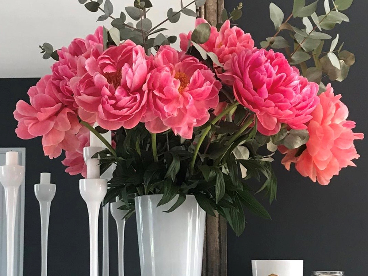 bouquet