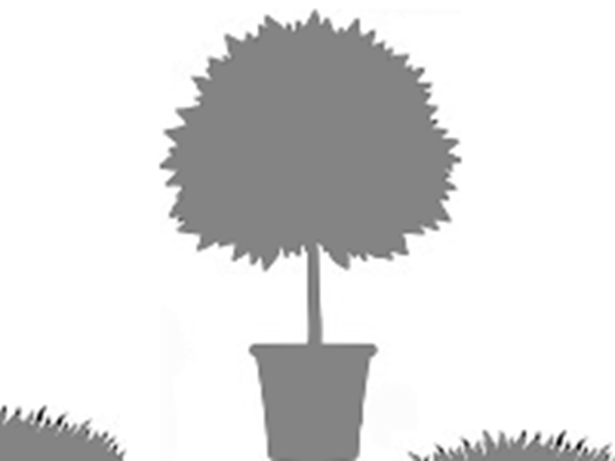 Jardins du château de la Chatonnière