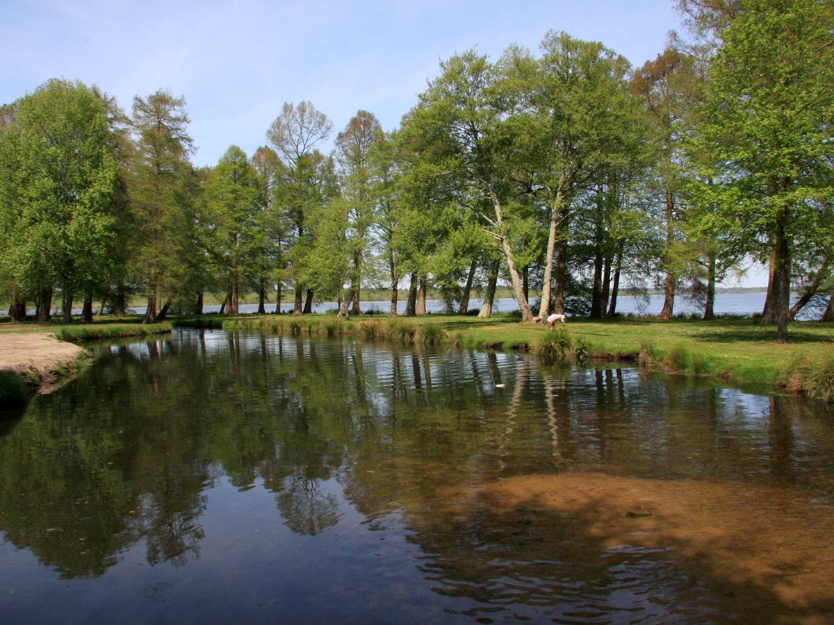Lac de Soustons