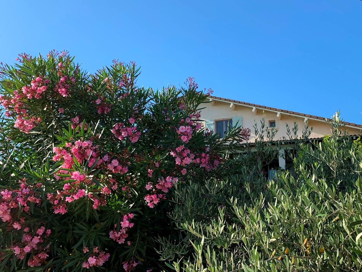 Mas Saint-Ange à Lunel, vue côté piscine de la maison d'hôtes