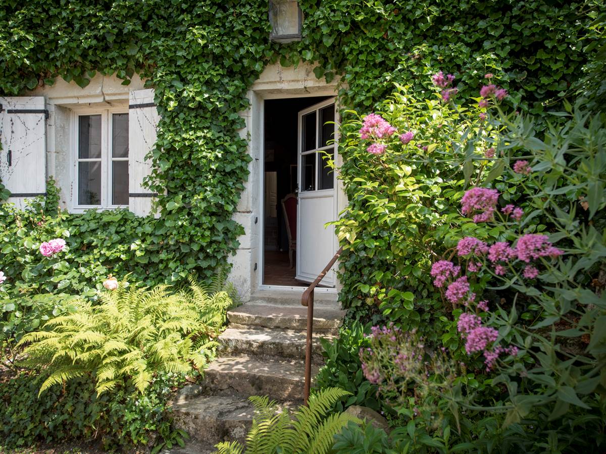 montecler_DSC4266