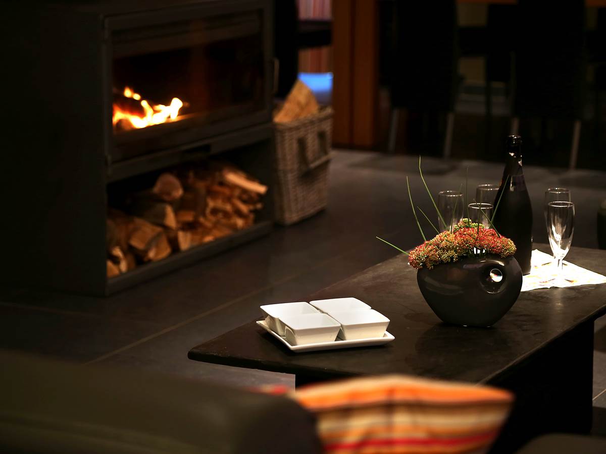 Au coin du feu Aux Chants d'Oiseaux