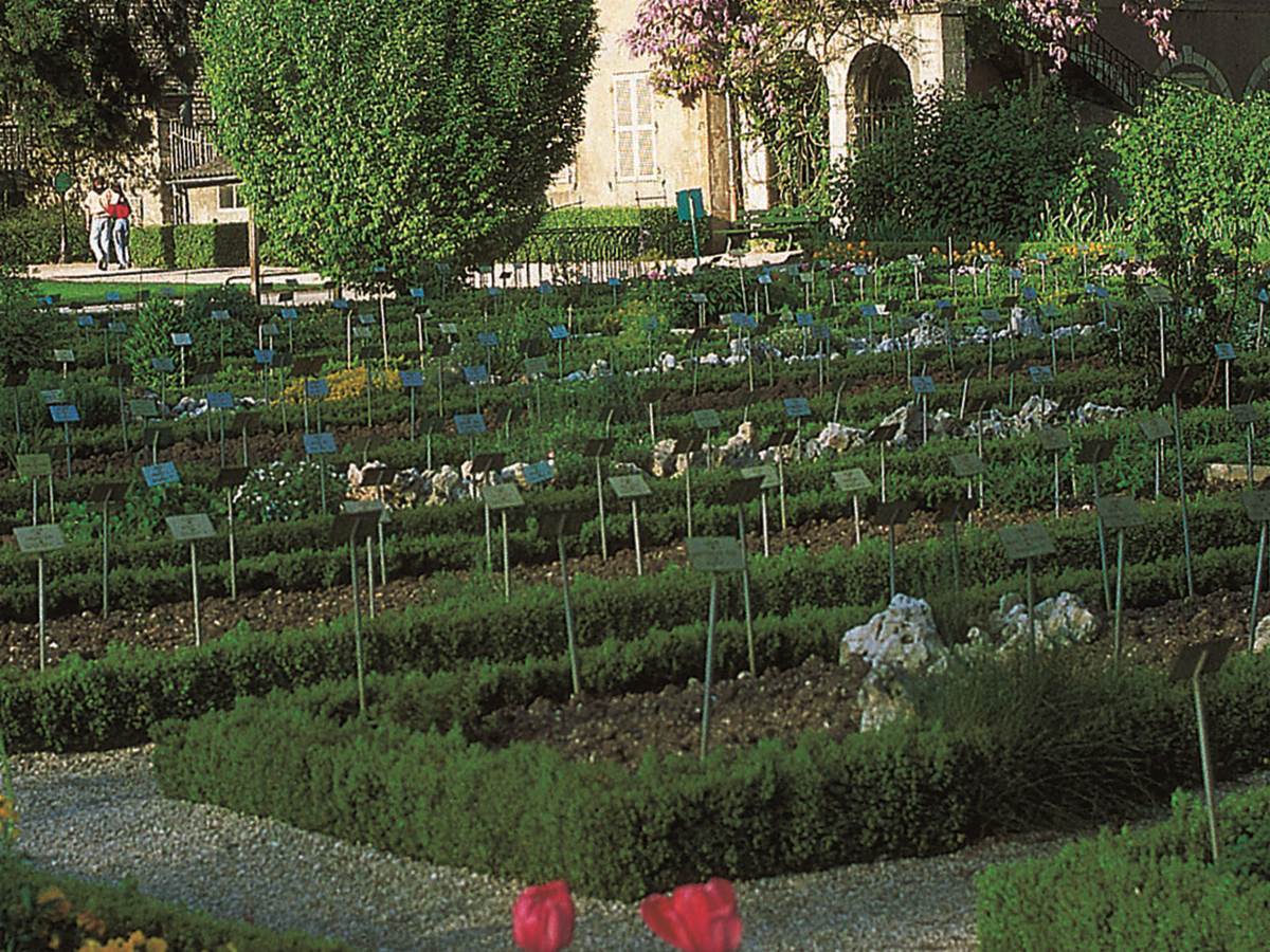 Jardin botanique de l’Arquebuse
