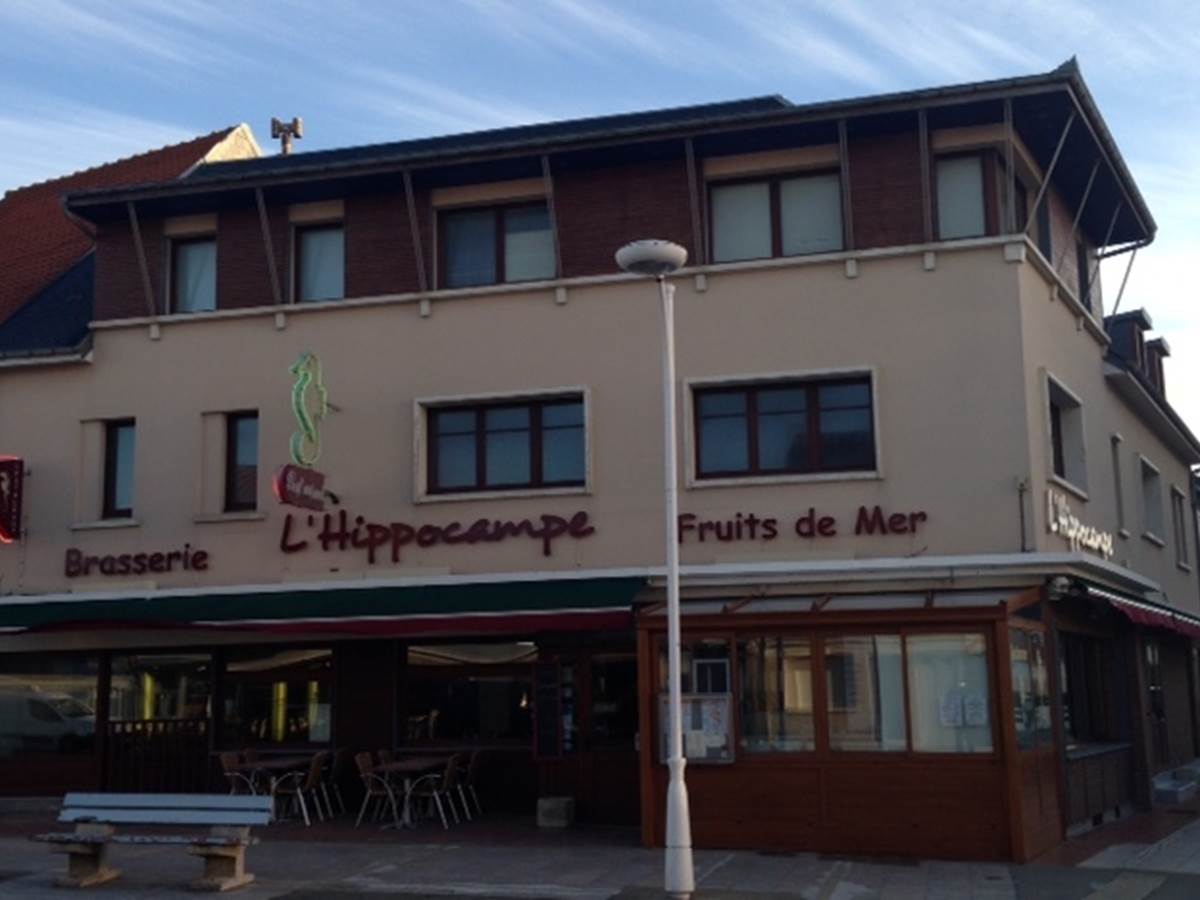 L’Hippocampe