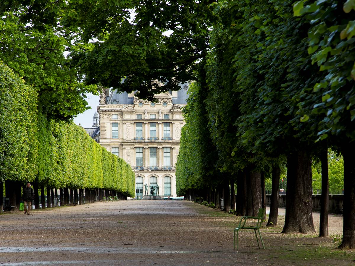 524894361 Jardin des Tuileries. Vue sur le musée du Louvre