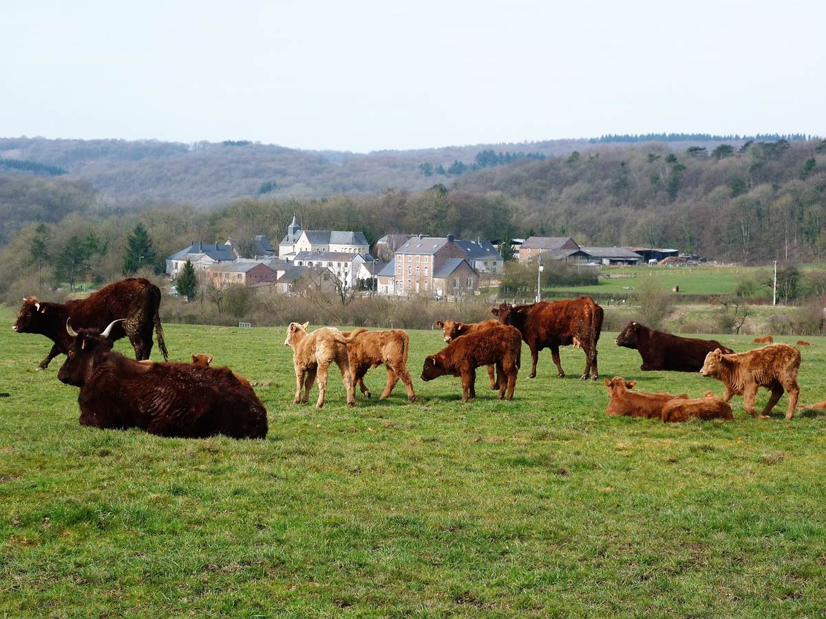 Le hameau de Xhignesse, très calme, est logé dans la verdure