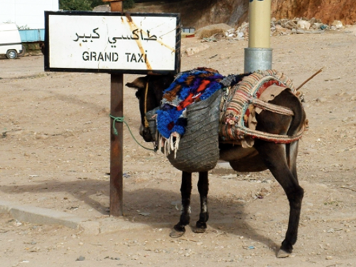 taxi