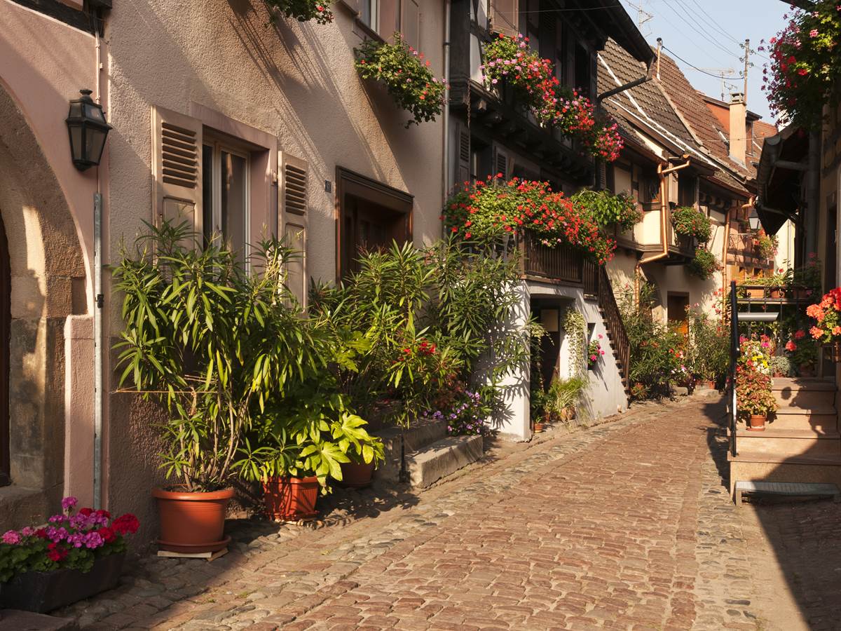 Eguisheim La Coquette: Maisons traditionnelles à colombages et allées fleuries
