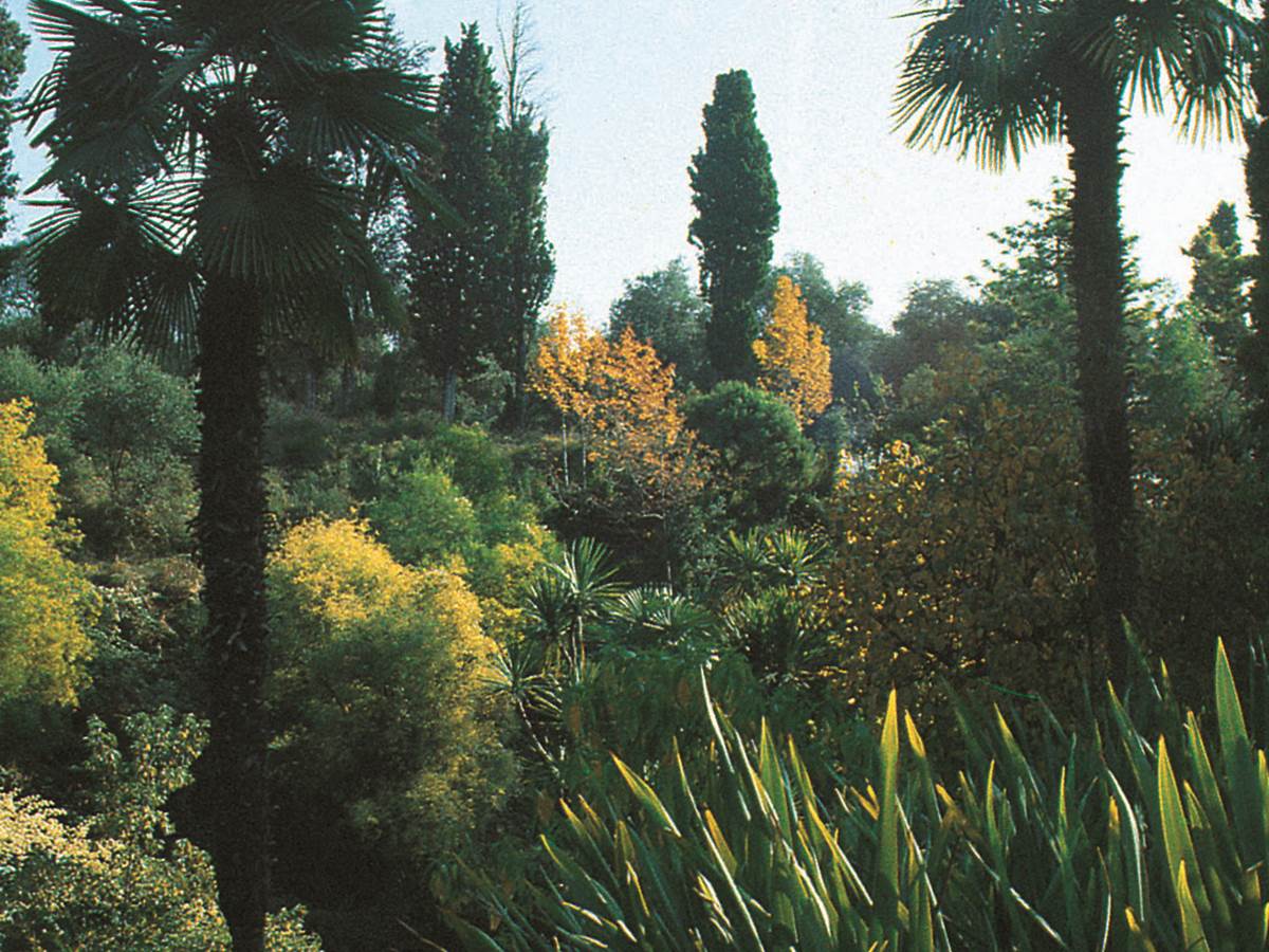 Val Rahmeh, jardin botanique exotique