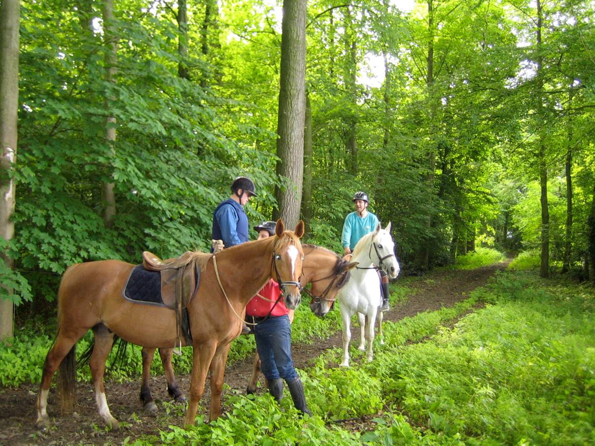 Allée Chevaux Behen