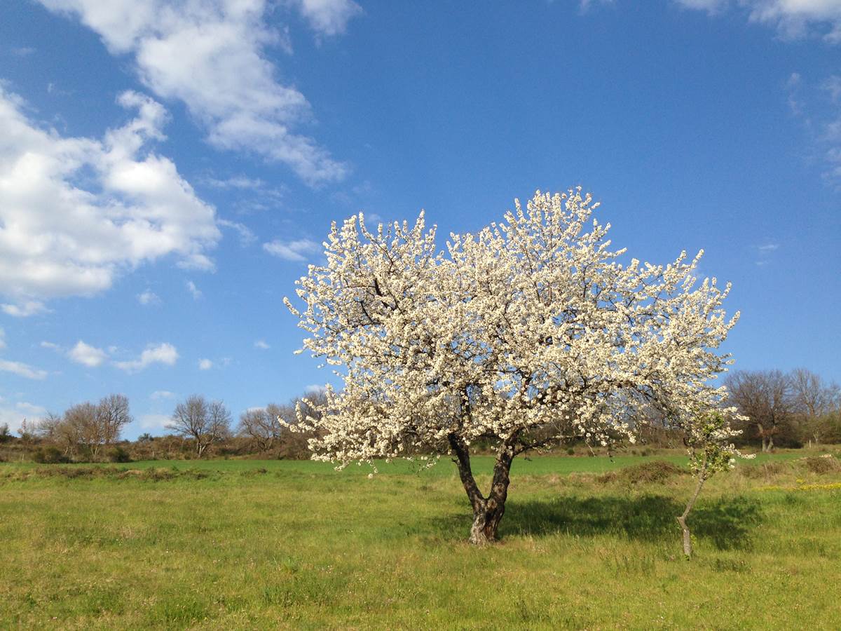 Ballade nature