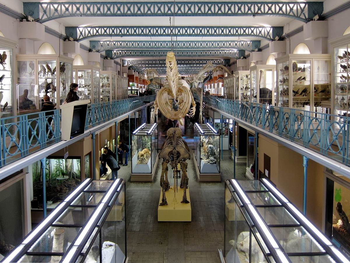 musée d'histoire naturelle