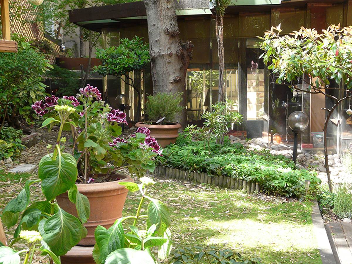 Le jardin avec la maison, vus de la chambre