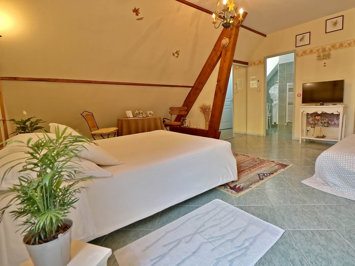 Chambre double Confort Le Pas de l' Âne Saint Ondras