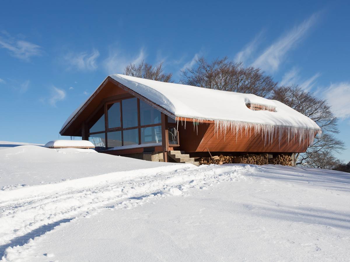 Le Dassé en hiver