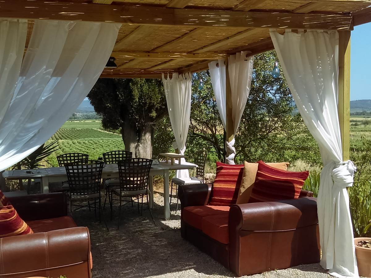 Pergola et vue sur les vignes, Domaine Conscience.