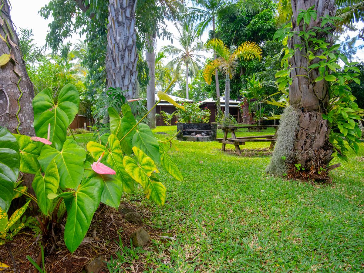 jardin