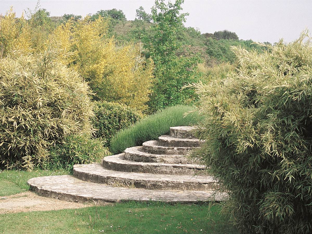 Parc aux Bambous