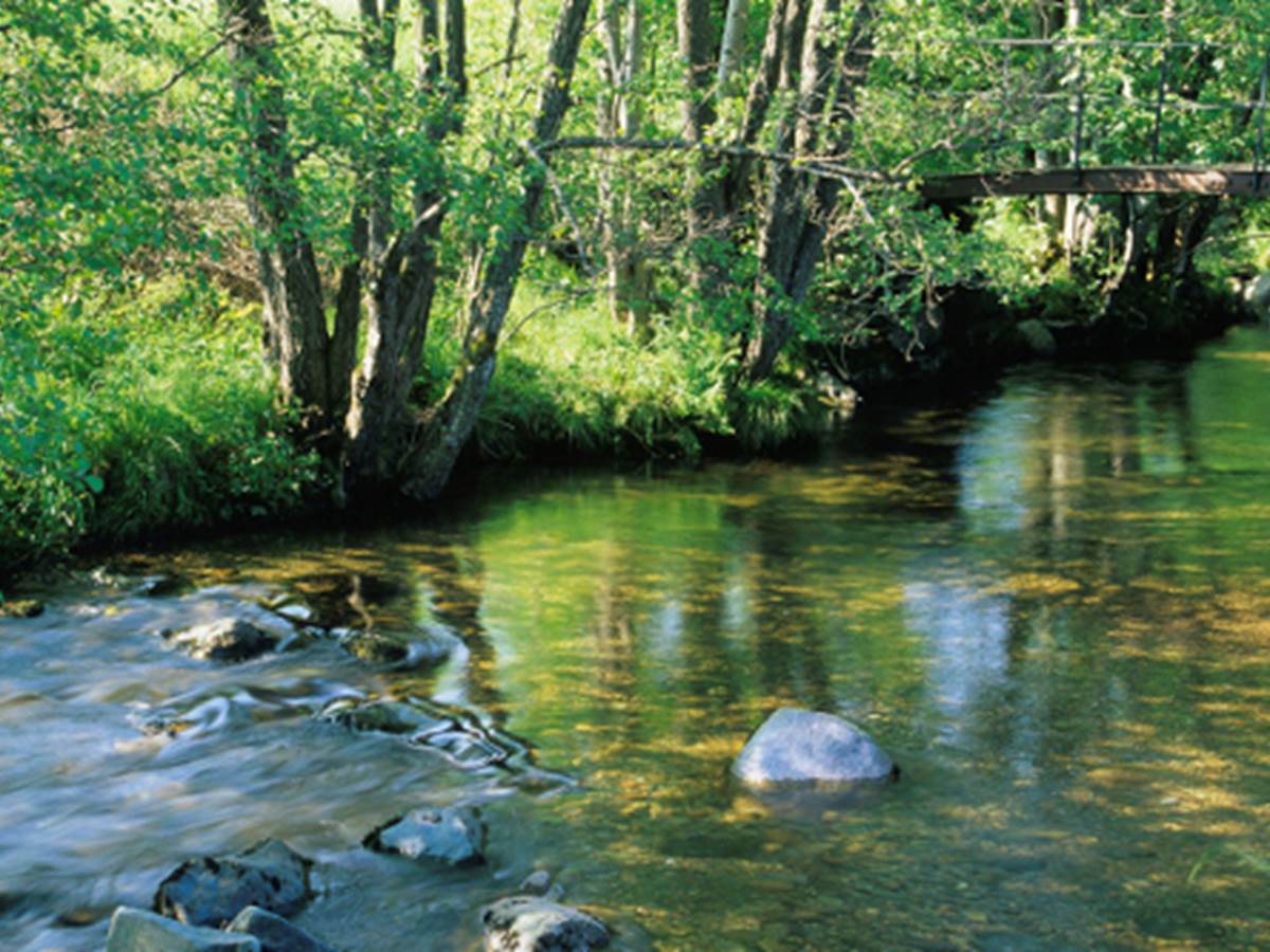 L\'Ill*Wald, Réserve Naturelle Régionale du Ried de Sélestat - Selestat