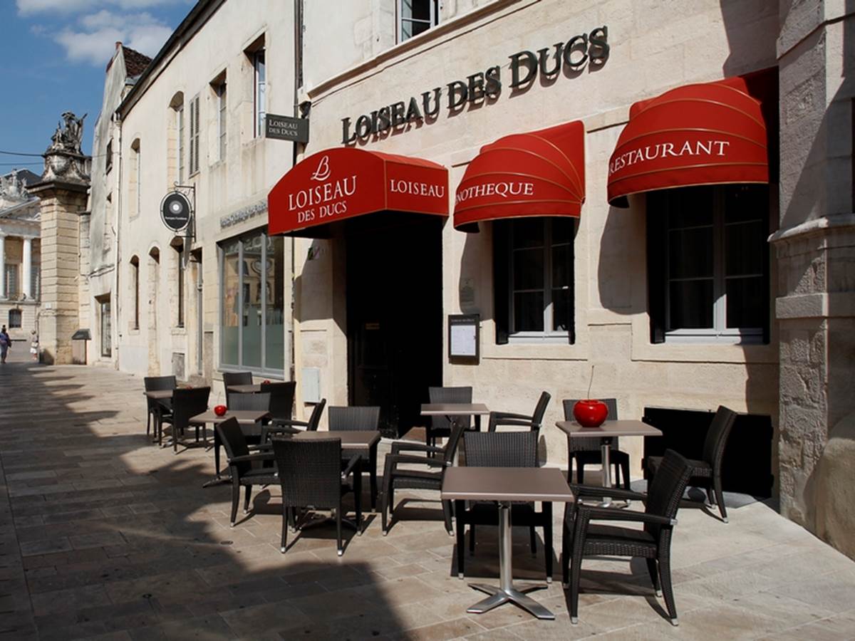 Loiseau des Ducs - DIJON