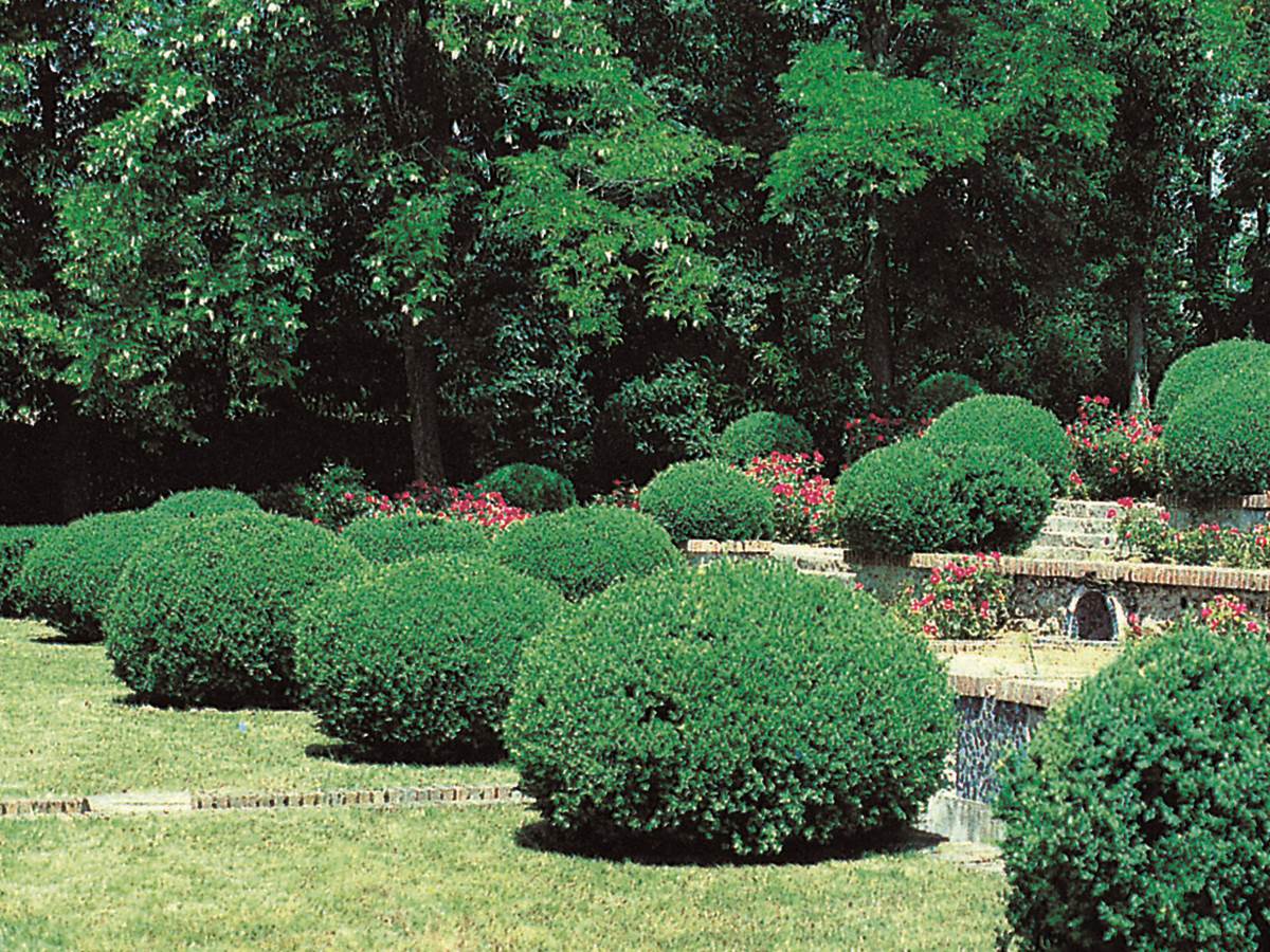 Parc Boussard