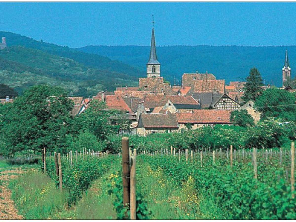 Mittelbergheim