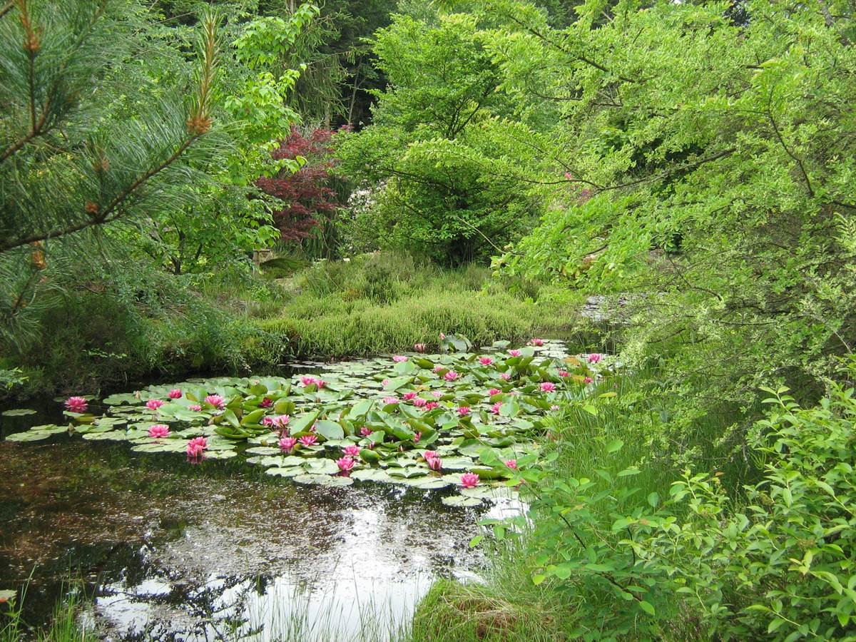 Jardin botanique de Gondremer