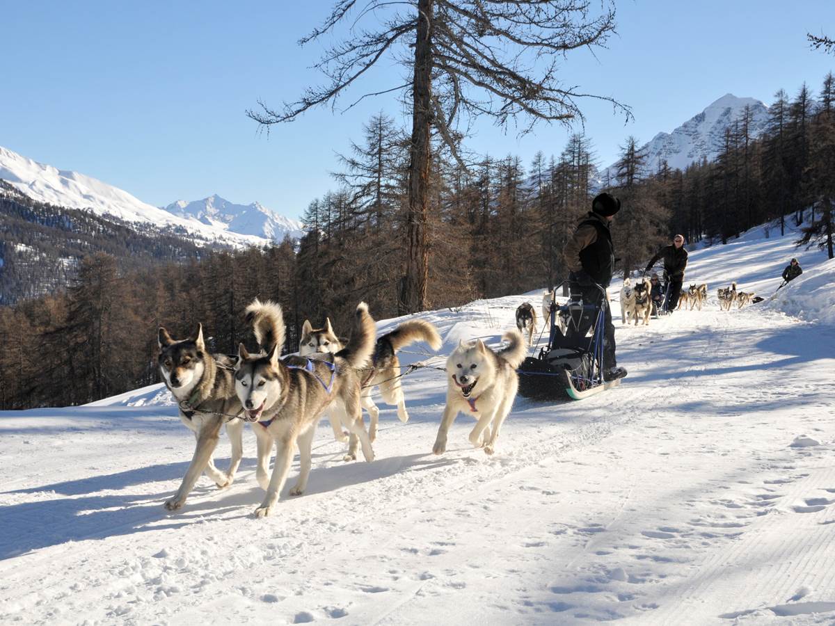 Page 15 Vars-Expedition_Nocturne_Chiens_de_Traineaux-Credit_Photo_Mush_And_Co