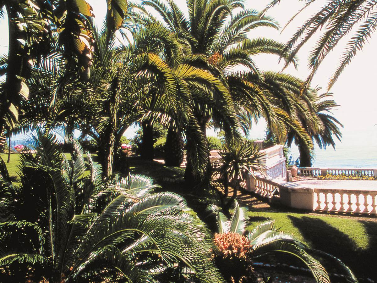 Jardin de la villa Maria Serena