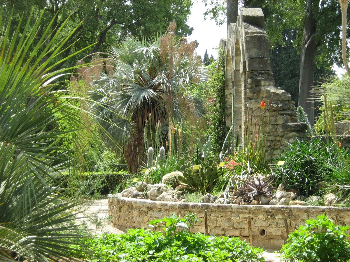 Jardin des plantes de Montpellier