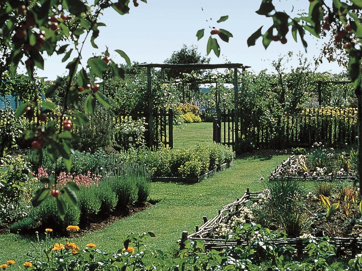 Jardin des « Rosiers »