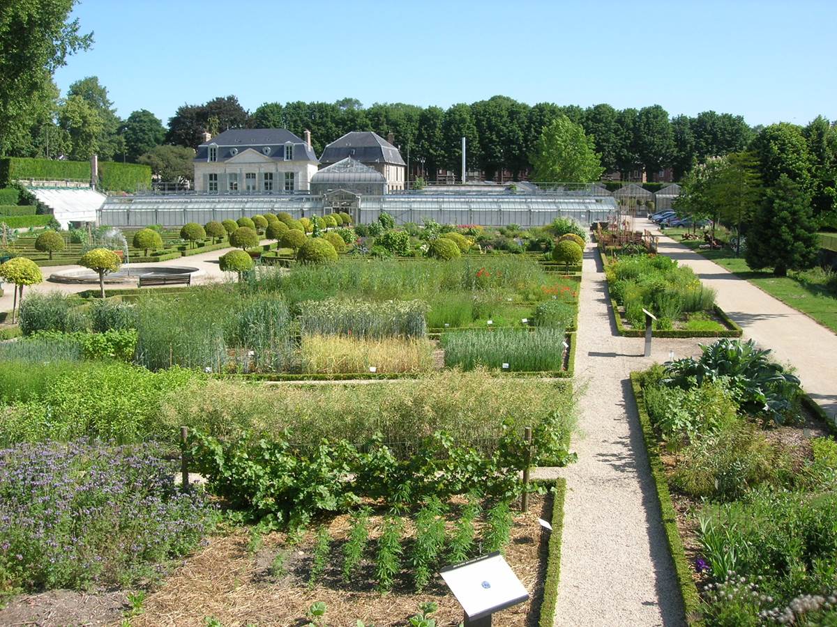 Jardin des plantes d’Amiens