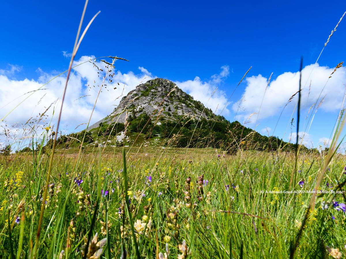 © A.Renaud-Goud-ADT07-Mont_Gerbier_de_Jonc--14