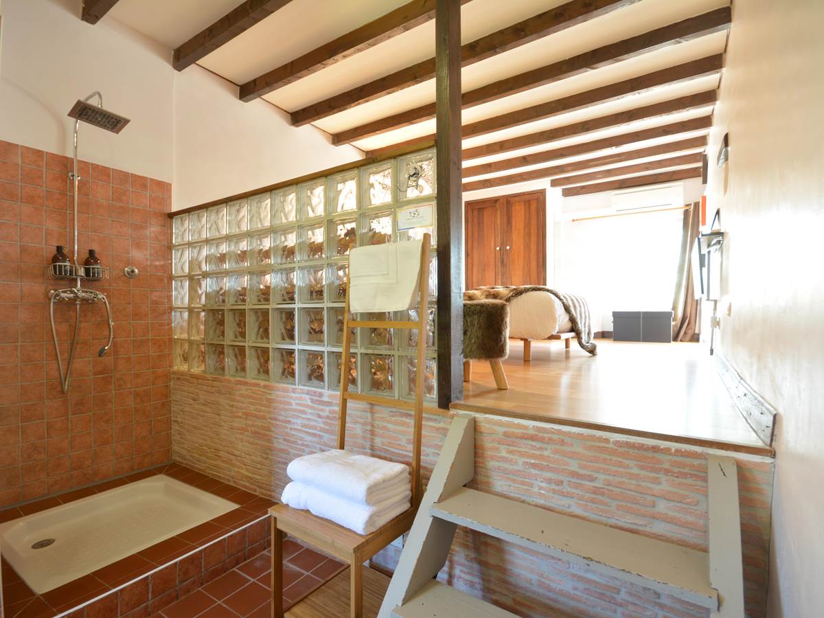 la salle de bain avec douche en open space