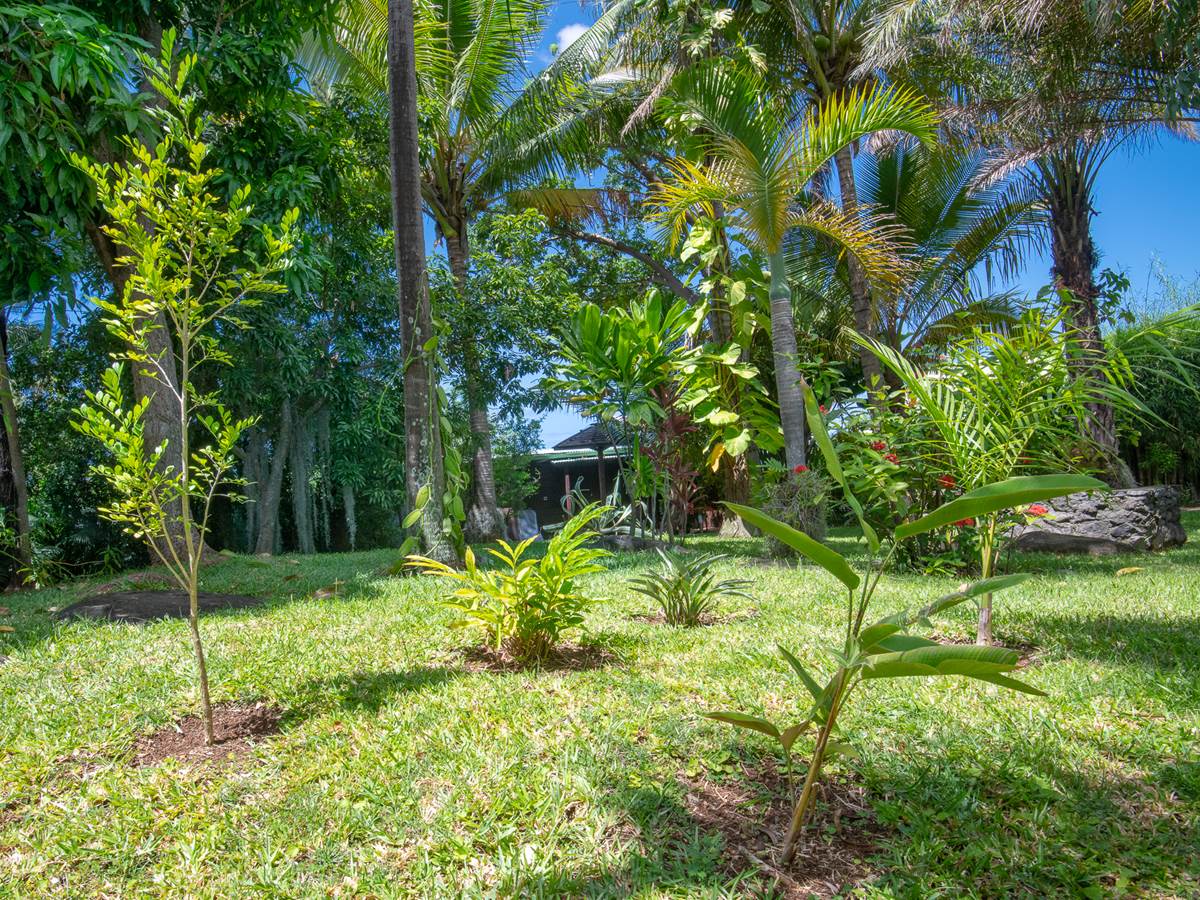 jardin