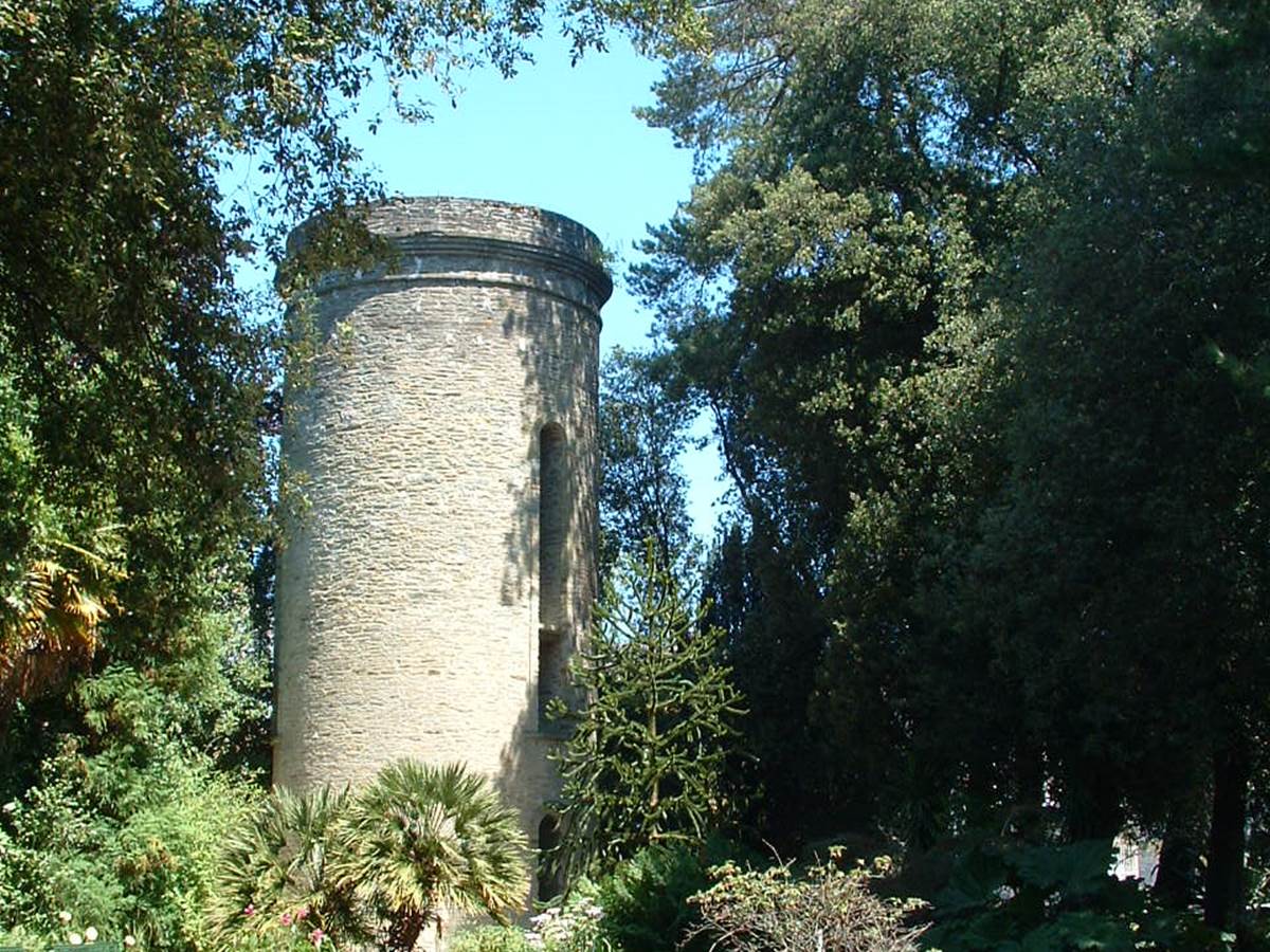 Parc et serres Emmanuel Liais