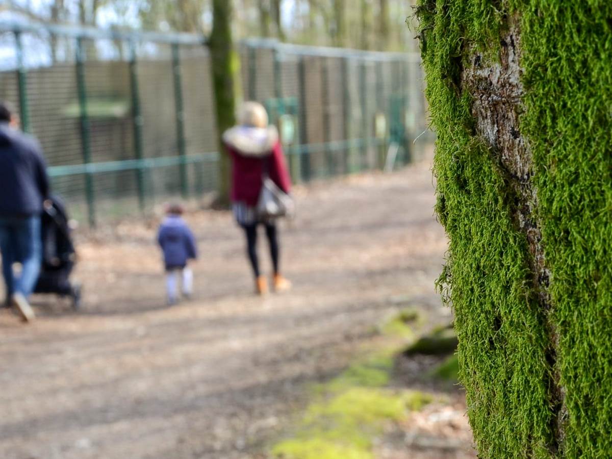 parc a gibier