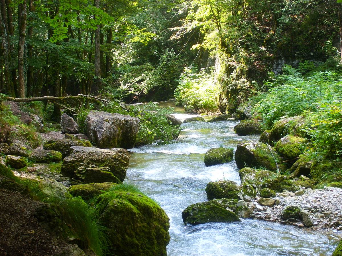 LES CASCADES DU HÉRISSON